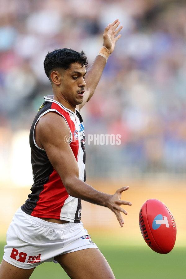 AFL 2024 Round 12 - West Coast v St Kilda - A-49891956