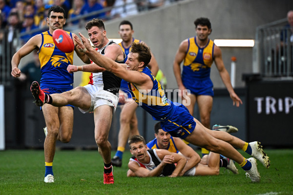 AFL 2024 Round 12 - West Coast v St Kilda - A-49891969