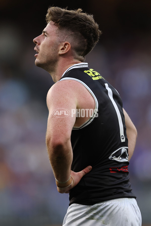 AFL 2024 Round 12 - West Coast v St Kilda - A-49891979