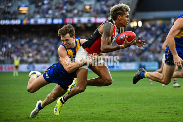 AFL 2024 Round 12 - West Coast v St Kilda - A-49894011