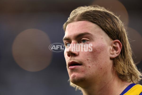 AFL 2024 Round 12 - West Coast v St Kilda - A-49894066