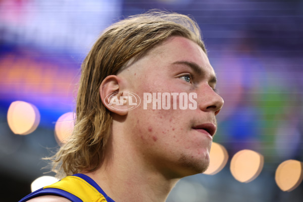 AFL 2024 Round 12 - West Coast v St Kilda - A-49894067