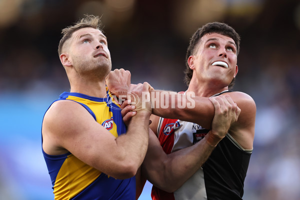 AFL 2024 Round 12 - West Coast v St Kilda - A-49894085