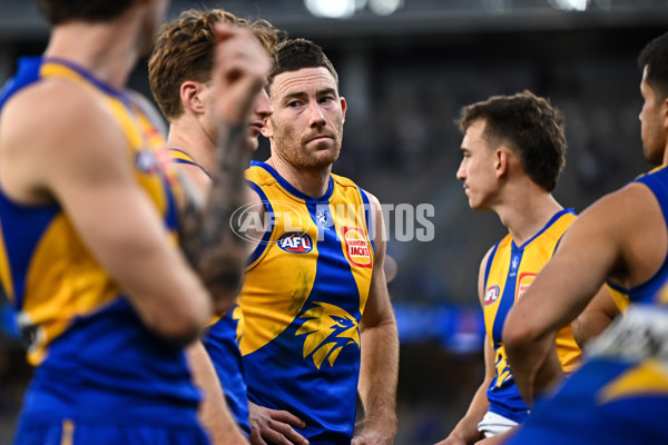 AFL 2024 Round 12 - West Coast v St Kilda - A-49894087