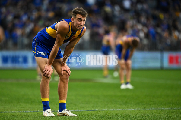 AFL 2024 Round 12 - West Coast v St Kilda - A-49894760