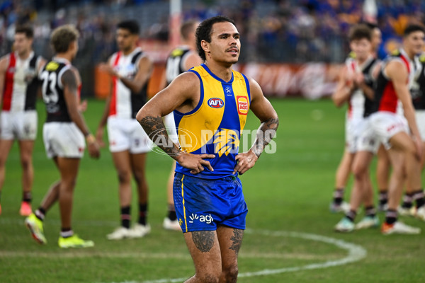 AFL 2024 Round 12 - West Coast v St Kilda - A-49894761