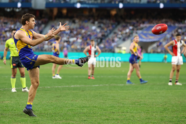 AFL 2024 Round 12 - West Coast v St Kilda - A-49896458