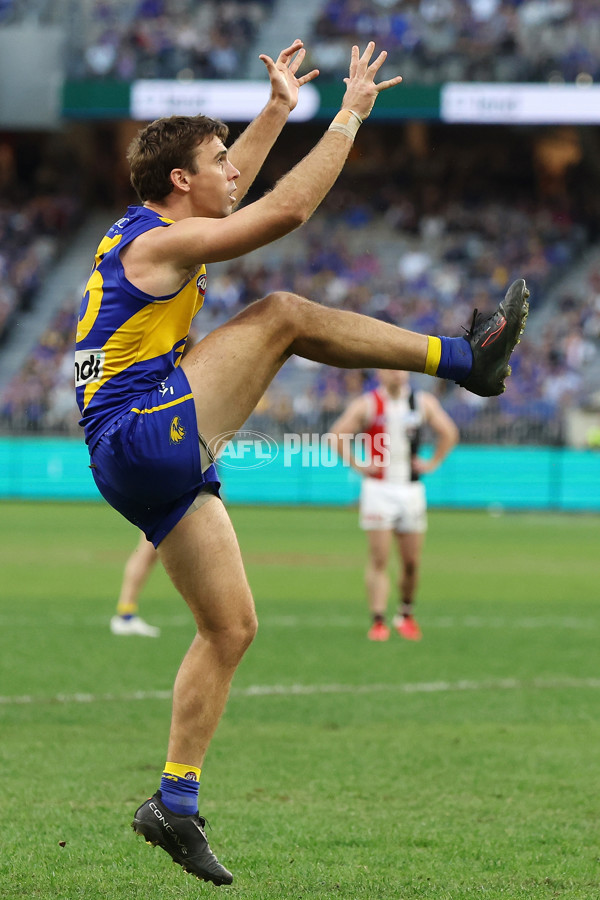AFL 2024 Round 12 - West Coast v St Kilda - A-49896459