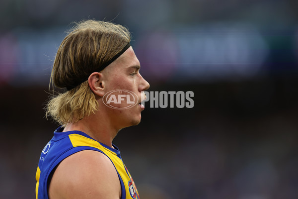 AFL 2024 Round 12 - West Coast v St Kilda - A-49896460