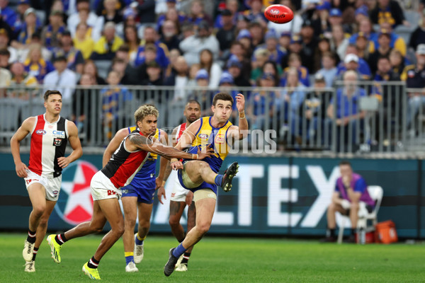 AFL 2024 Round 12 - West Coast v St Kilda - A-49896463