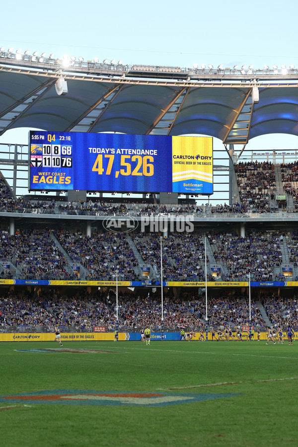 AFL 2024 Round 12 - West Coast v St Kilda - A-49896473