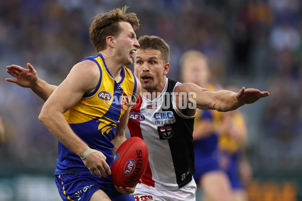 AFL 2024 Round 12 - West Coast v St Kilda - A-49896475