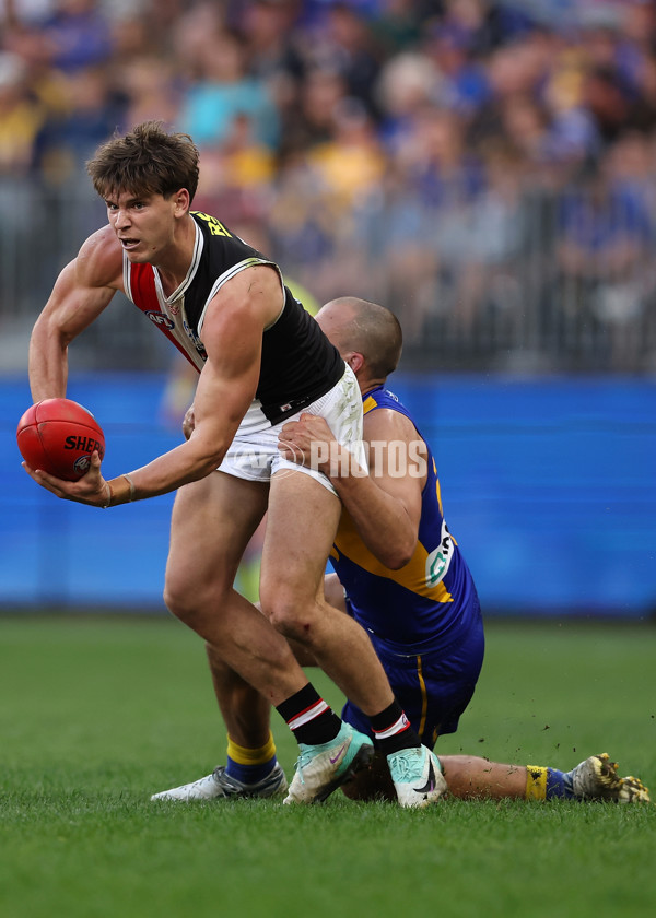 AFL 2024 Round 12 - West Coast v St Kilda - A-49896479