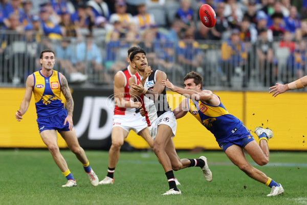 AFL 2024 Round 12 - West Coast v St Kilda - A-49896523