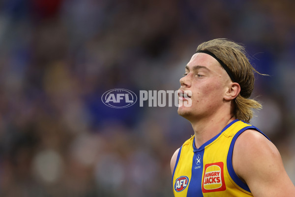 AFL 2024 Round 12 - West Coast v St Kilda - A-49897435