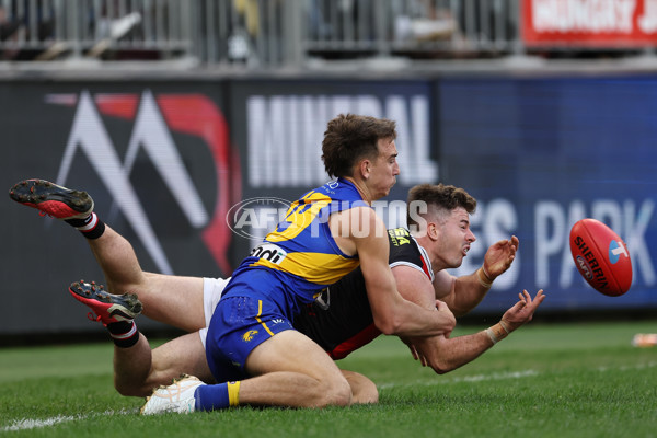 AFL 2024 Round 12 - West Coast v St Kilda - A-49897448