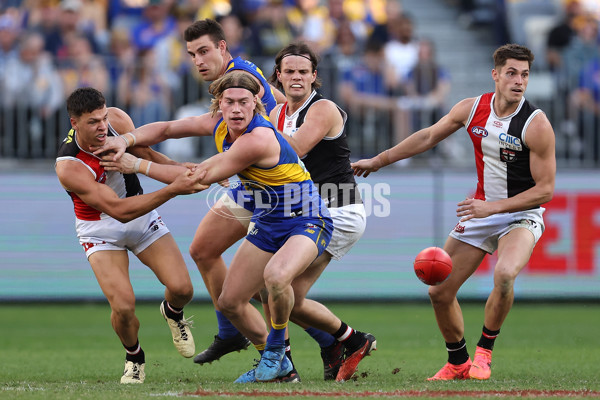 AFL 2024 Round 12 - West Coast v St Kilda - A-49897454