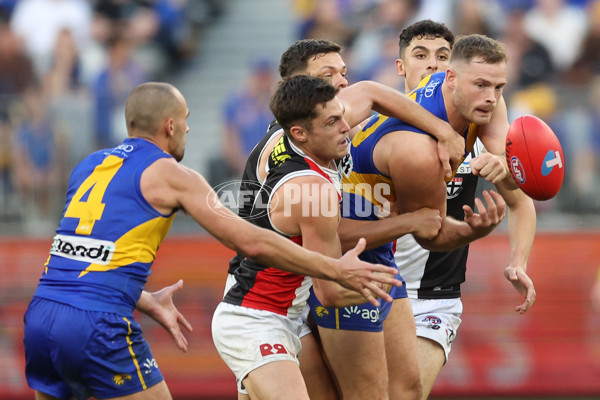AFL 2024 Round 12 - West Coast v St Kilda - A-49897491