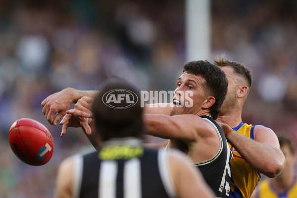 AFL 2024 Round 12 - West Coast v St Kilda - A-49898748