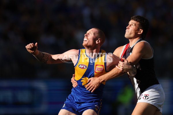 AFL 2024 Round 12 - West Coast v St Kilda - A-49900298