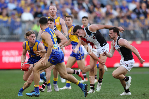 AFL 2024 Round 12 - West Coast v St Kilda - A-49900302