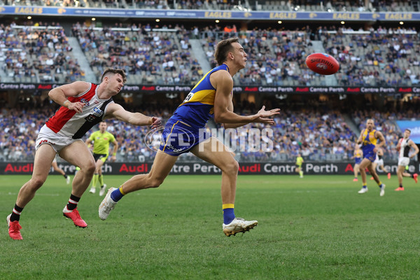 AFL 2024 Round 12 - West Coast v St Kilda - A-49900344