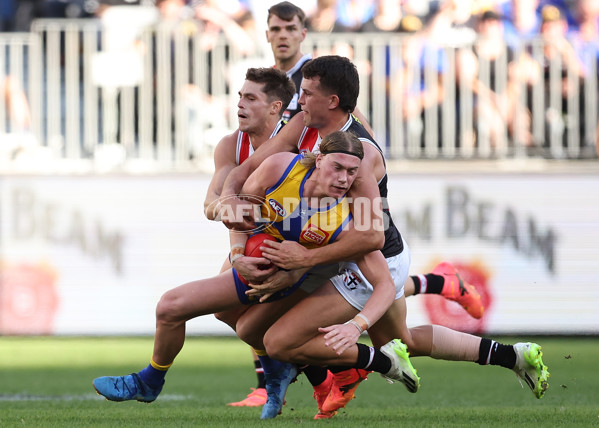 AFL 2024 Round 12 - West Coast v St Kilda - A-49900349