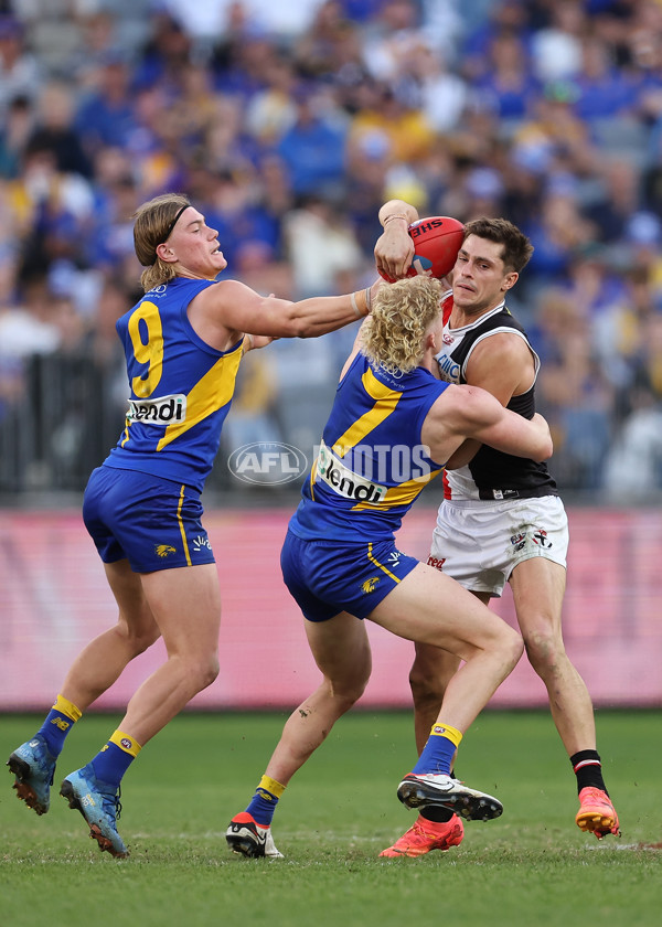 AFL 2024 Round 12 - West Coast v St Kilda - A-49901504