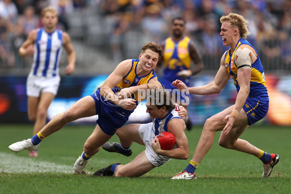 AFL 2024 Round 13 - West Coast v North Melbourne - A-50664432