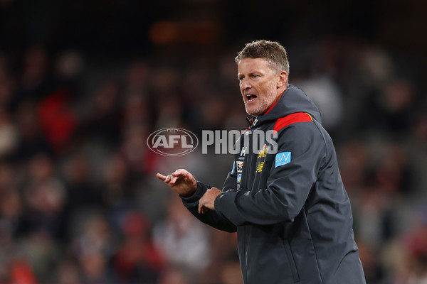 AFL 2024 Round 13 - St Kilda v Gold Coast - A-50670748