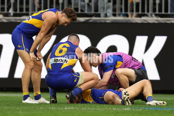 AFL 2024 Round 13 - West Coast v North Melbourne - A-50674774