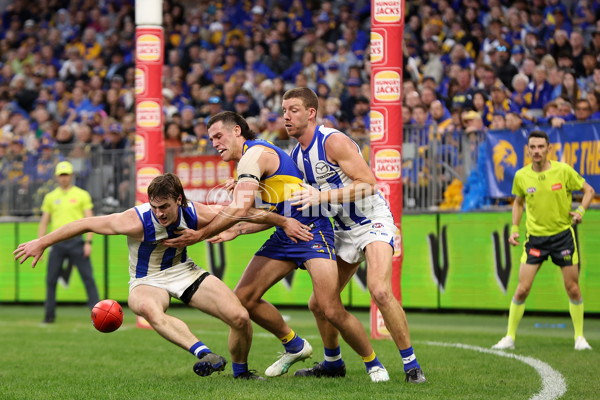 AFL 2024 Round 13 - West Coast v North Melbourne - A-50674802