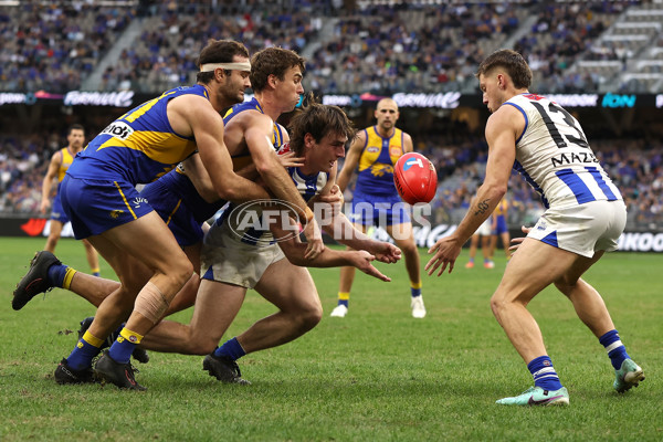 AFL 2024 Round 13 - West Coast v North Melbourne - A-50674804