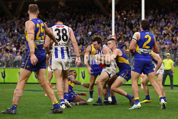 AFL 2024 Round 13 - West Coast v North Melbourne - A-50675864