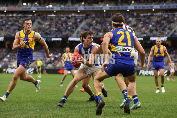 AFL 2024 Round 13 - West Coast v North Melbourne - A-50675869