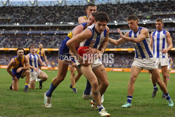 AFL 2024 Round 13 - West Coast v North Melbourne - A-50681488
