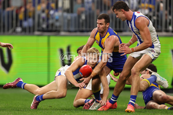 AFL 2024 Round 13 - West Coast v North Melbourne - A-50682740