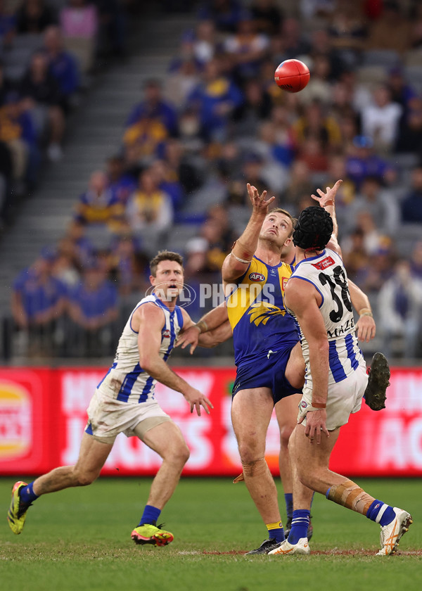 AFL 2024 Round 13 - West Coast v North Melbourne - A-50682746