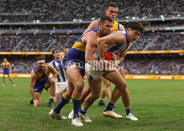 AFL 2024 Round 13 - West Coast v North Melbourne - A-50682753
