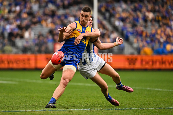 AFL 2024 Round 13 - West Coast v North Melbourne - A-50922268