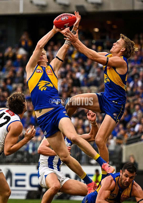AFL 2024 Round 13 - West Coast v North Melbourne - A-50931307