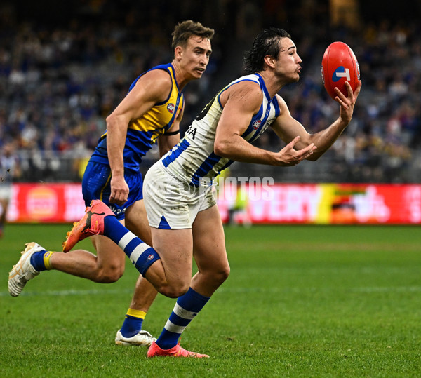 AFL 2024 Round 13 - West Coast v North Melbourne - A-50932118