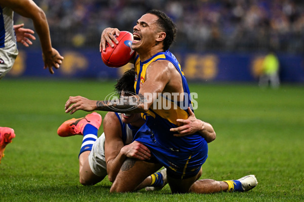 AFL 2024 Round 13 - West Coast v North Melbourne - A-50932126