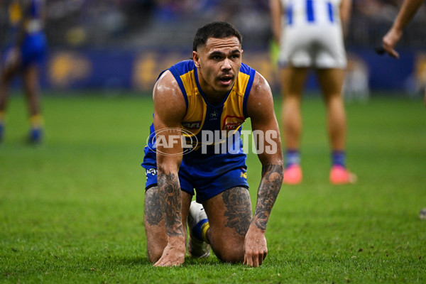 AFL 2024 Round 13 - West Coast v North Melbourne - A-50932128