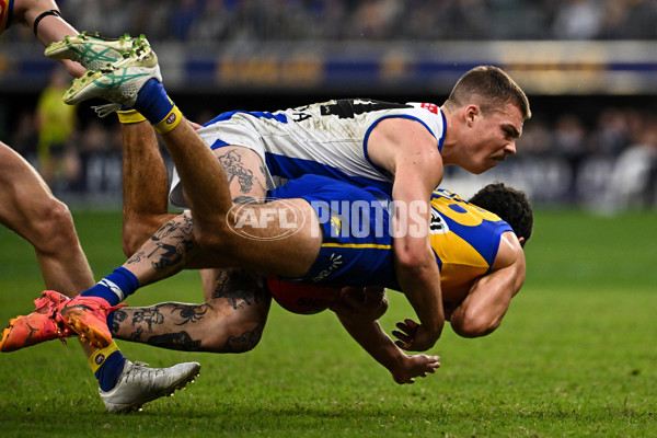 AFL 2024 Round 13 - West Coast v North Melbourne - A-50932132