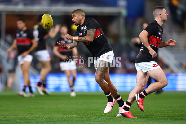 AFL 2024 Round 14 - Brisbane v St Kilda - A-50934570