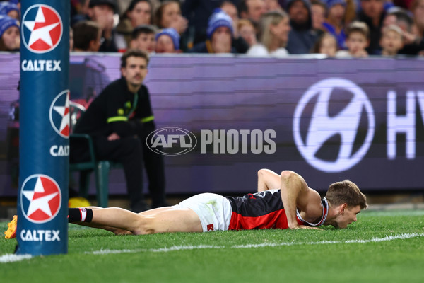 AFL 2024 Round 14 - Brisbane v St Kilda - A-50989389