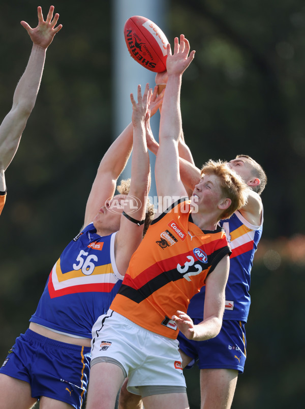 Coates League Boys 2024 - Eastern Ranges v Calder Cannons - A-51015238