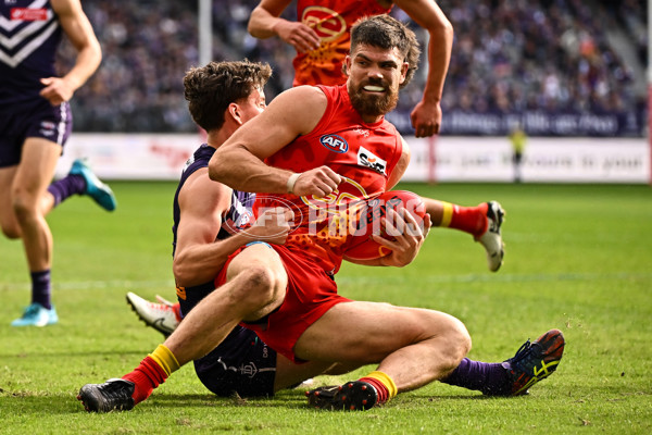 AFL 2024 Round 15 - Fremantle v Gold Coast - A-51230741