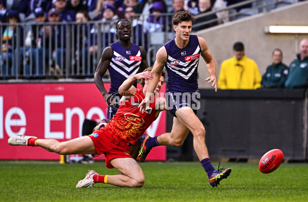 AFL 2024 Round 15 - Fremantle v Gold Coast - A-51233144